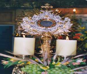 La uva como s�mbolo eucar�stico 