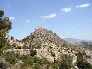 Vista General del Castillo 