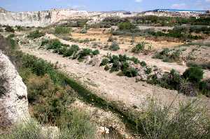 R�o Mula [Campos del R�o_Familia Garrido]