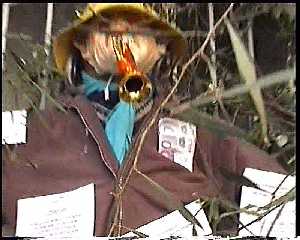 Es tradici�n poner billetes falsos en su bolsillo 