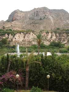 Huertos del R�o Segura [Oj�s_Tom�s L�pez de Pobeda]