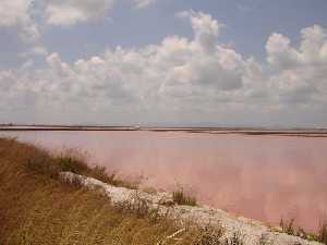 Parque Regional de las Salinas de San Pedro 