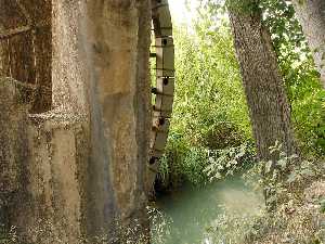 Noria del Salmer�n