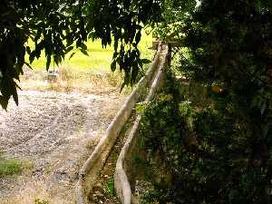 Noria del Salmer�n