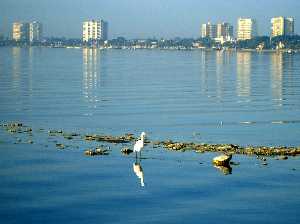 Ba�o en Lo Pag�n (San Pedro del Pinatar)
