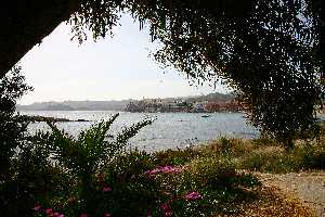 Vista de Calabardina [Reportaje �guilas]
