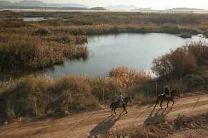 Humedal de las Ramblas de Mazarr�n