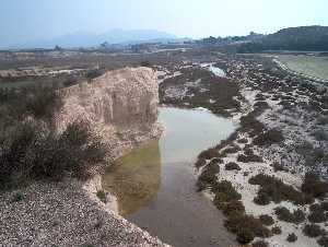 Humedal del Ajauque