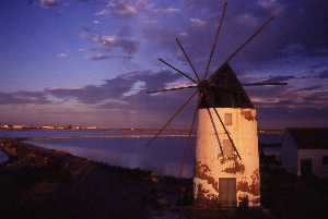 Primer molino de Lo Pag�n (San Pedro)