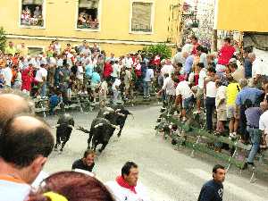 Encierros de Calasparra