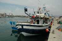Puerto Pesquero en Puerto de Mazarr�n