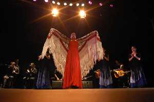 Actuaci�n de Sara Baras 