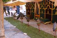 Cetrera en el Mercado Medieval 