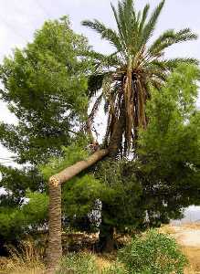 Las consecuencias del cambio clim�tico se asocian a la mayor frecuencia temporales y otros acontecimientos meteorol�gicos extremos