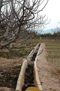  Acequia en al Huerta de Murcia [Folclore_Vida Huertana]