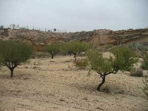 Paisaje m�s aut�ctono del t�rmino de Canteras 