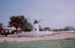 Molino de viento 