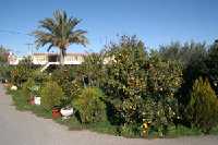 Vivienda t�pica 