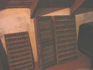  Cr�a del gusano de seda 