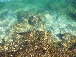 El mar en la costa cartagenera [Cartagena_San Antonio Abad]