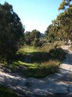 Rambla de Benipila hacia la Algameca 