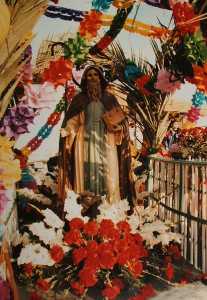 San Antonio Abad Patrn del Barrio de San Antn [Cartagena_San Antonio Abad]