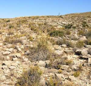 Vista General de la Calzada