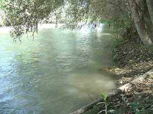 Los �lamos del R�o 
