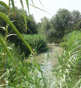 R�o Segura P 