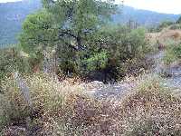 Paraje de la Cueva 