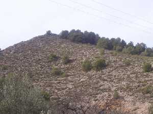 Montes de Sierra Espu�a 