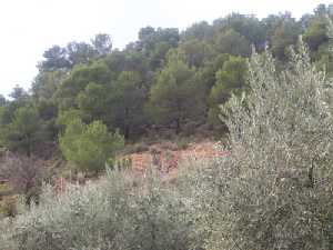 Sierra Espu�a y El Berro [Alhama_ElBerro]