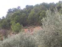 Sierra Espu�a y El Berro
