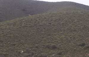 Ladera de la Loma de Aguaderas 