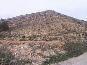 El Coto Guillam�n 