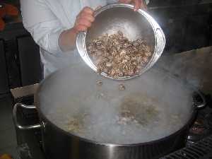 A�adir los caracoles 