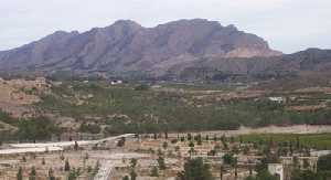 Naturaleza de El Siscar P 