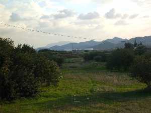 Campo y sierra [Fuente �lamo_Balsapintada]