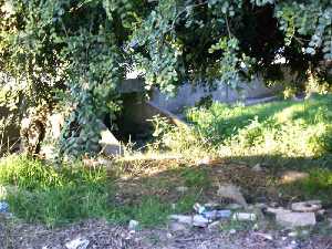 Construcci�n en la Rambla del Balsaesp�n [Fuente �lamo_Balsapintada]