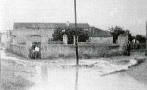La Balsa de Balsapintada (Fuente �lamo) [Fuente �lamo_Balsapintada]
