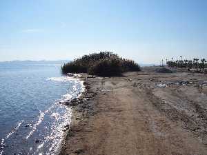 Playa de la Hita en Los Narejos (Los Alc�zares) [Los Alc�zares_Los Narejos]