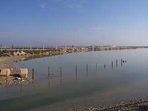 Las Salinas, h�bitat natural para la flora y la fauna [ San Pedro Los Cuarteros]