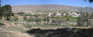 Panor�mica de Fuente del Pino (Jumilla) 