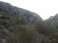 Vegetaci�n en un barranco de la Sierra de Ascoy 