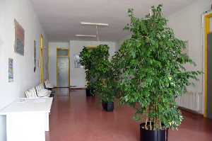 Interior del Centro M�dico 