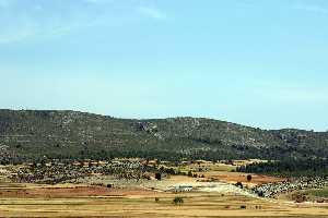 Panor�mica de El Sabinar 