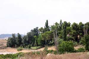 Vista de Finca el Molino [Singla]