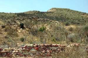 Coto Fortuna 