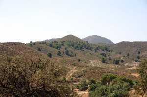 Paraje Natural de Los Viquejos 