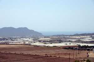 Vista Panor�mica del campo de Cope 